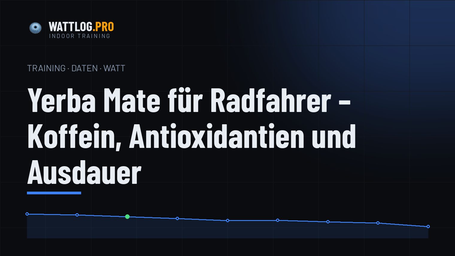 Yerba Mate für Radfahrer — Koffein, Antioxidantien und Ausdauer