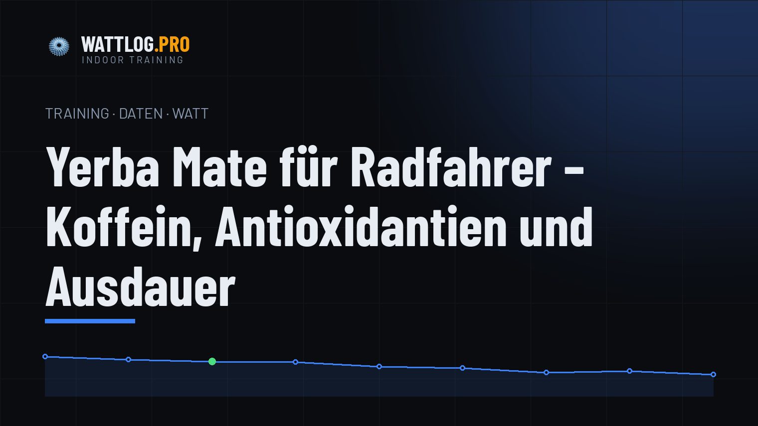 Yerba Mate für Radfahrer — Koffein, Antioxidantien und Ausdauer